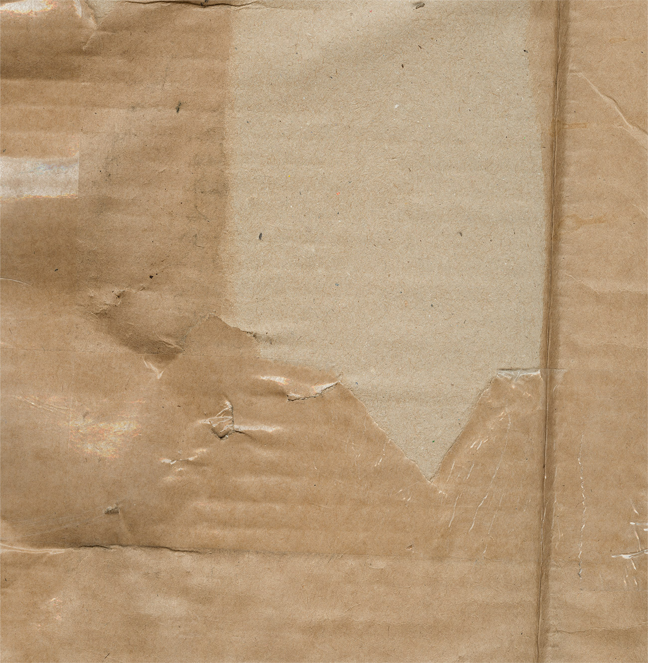 Cardboard-Rip-10.png – BLKMARKET©